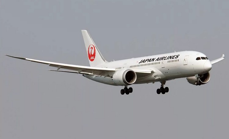 Japan Airlines самолет